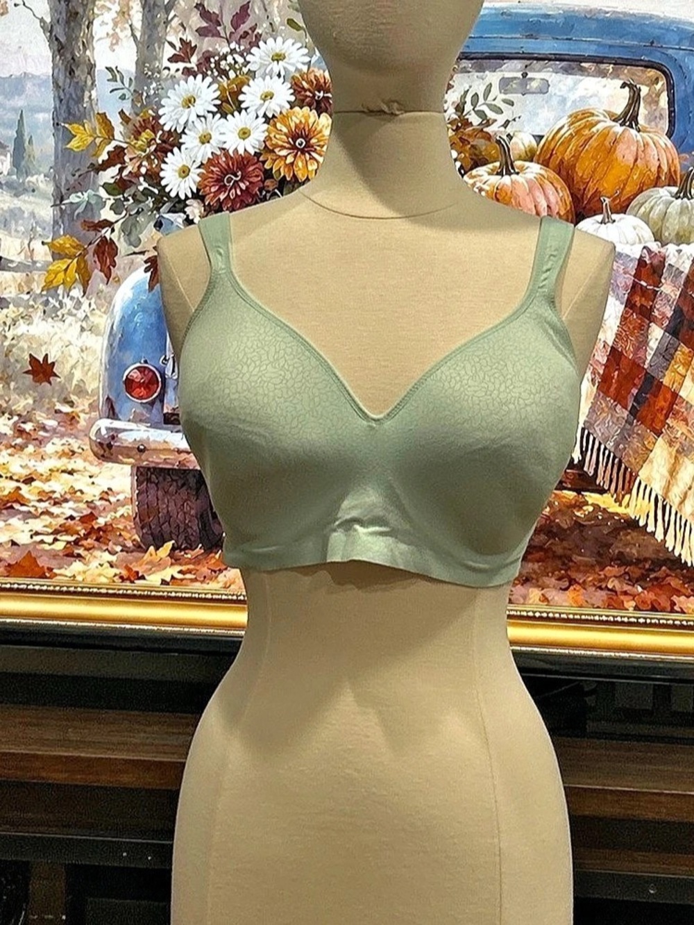 Secret Treasures Lace Wireless Bra in Green Size 38-DDD